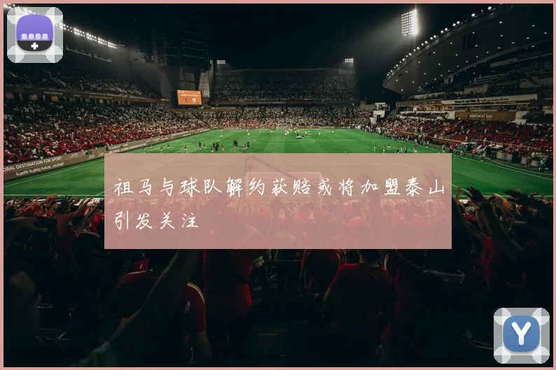 祖马与球队解约获赔或将加盟泰山引发关注